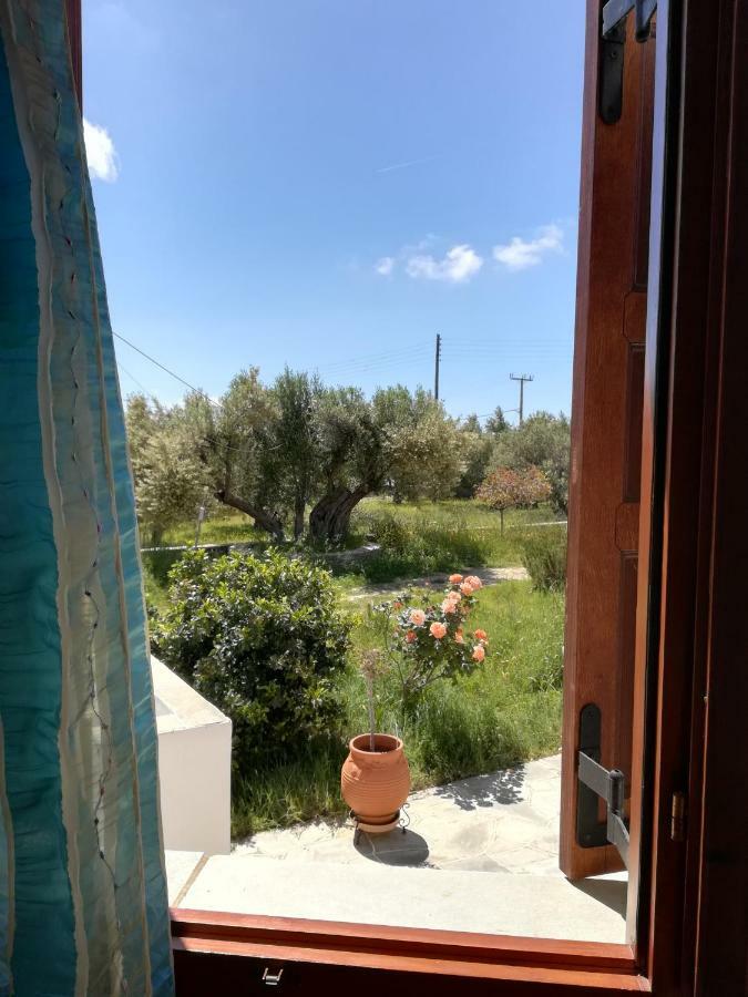 Appartement Blue Fish à Platis Gialos  Extérieur photo